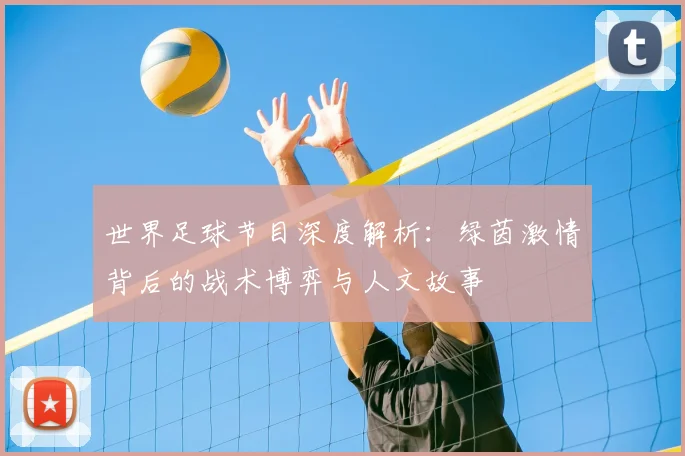 世界足球节目深度解析：绿茵激情背后的战术博弈与人文故事