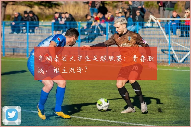 年湖南省大学生足球联赛:青春激战,谁主沉浮?