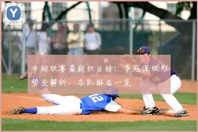 中超联赛最新积分榜：争冠保级形势全解析，各队排名一览